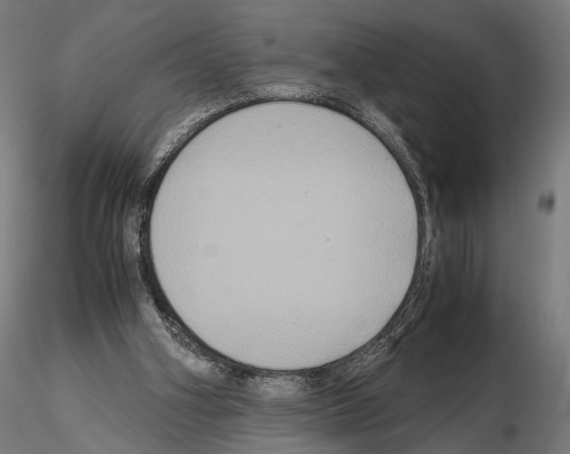 X0000115120106200912081353