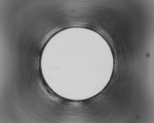 X0000115120107200912081353