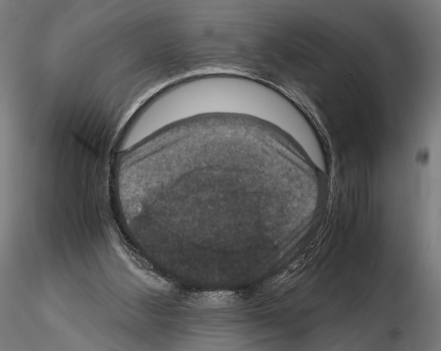 X0000115120108200912081353