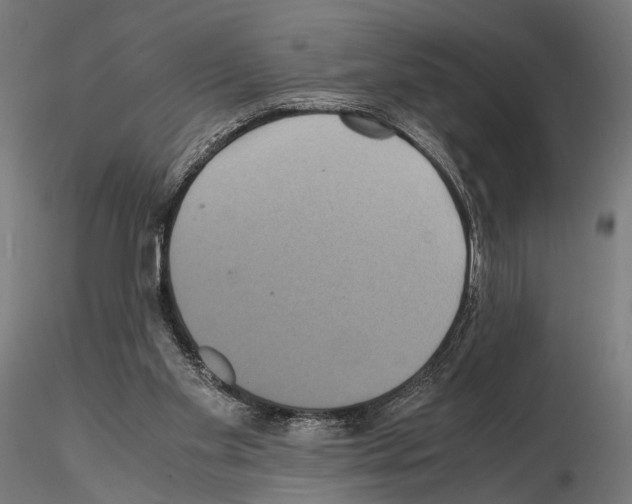 X0000115120109200912081353