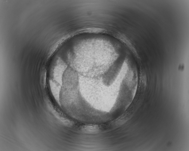 X0000115120110200912081353