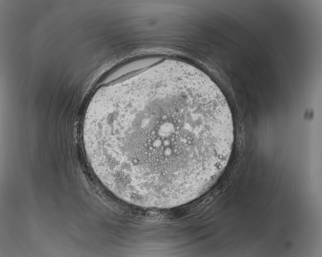 X0000115120111200912081353