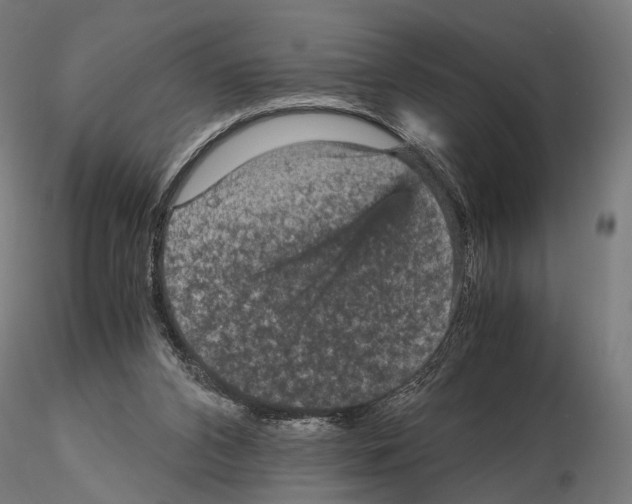 X0000115120112200912081353