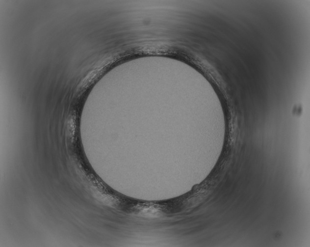 X0000115120113200912081353