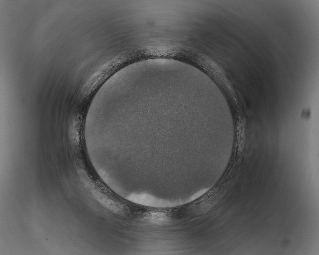 X0000115120114200912081353