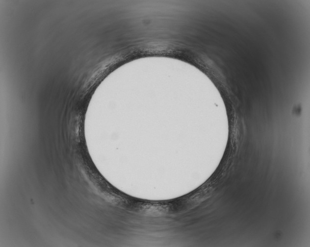 X0000115120115200912081353