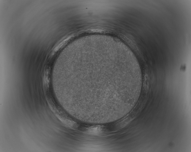 X0000115120116200912081353