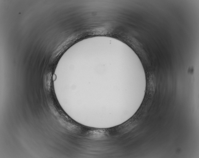 X0000115120118200912081353