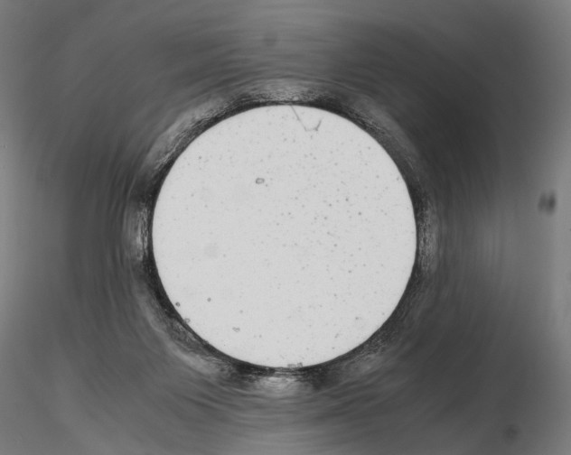 X0000115120119200912081353