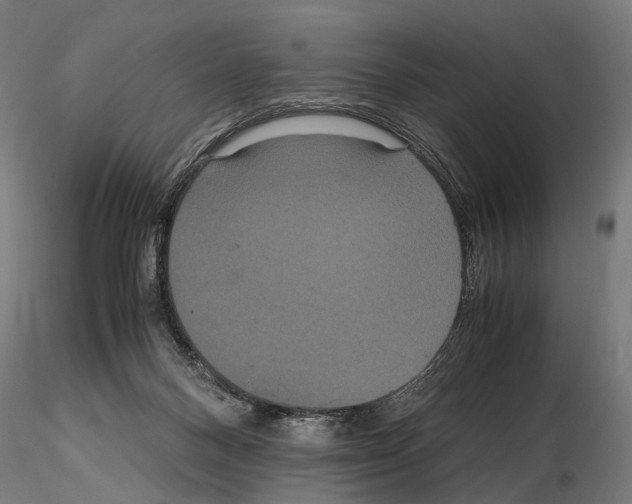 X0000115120120200912081353