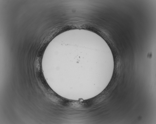 X0000115120121200912081353