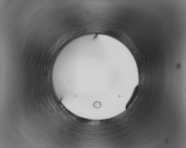 X0000115120124200912081353