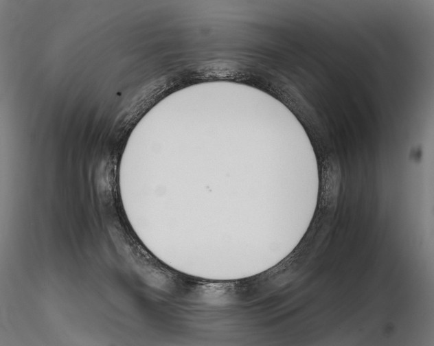 X0000115120126200912081353