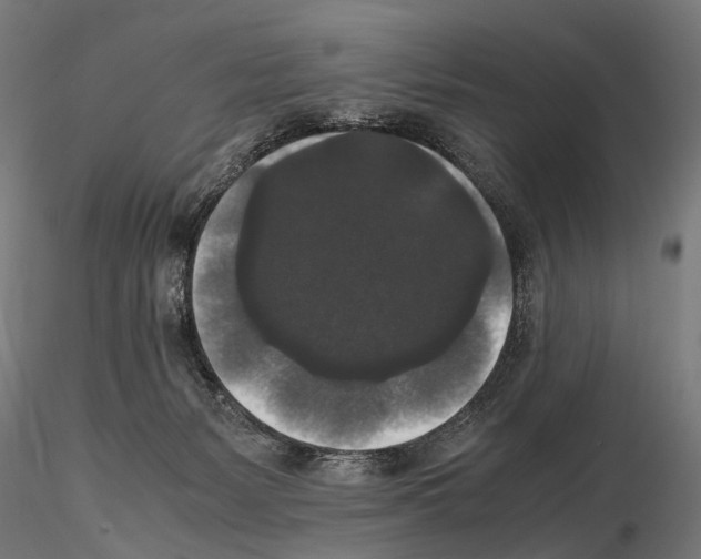 X0000115120127200912081353