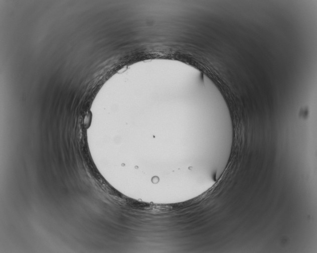 X0000115120128200912081353