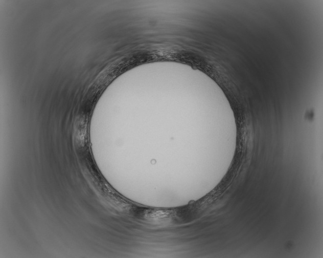 X0000115120129200912081353