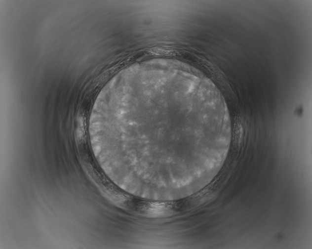 X0000115120130200912081353