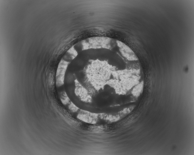 X0000115120131200912081353