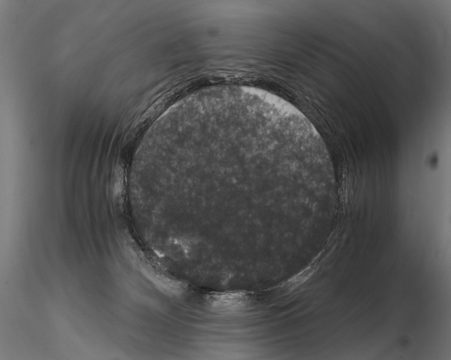 X0000115120132200912081353