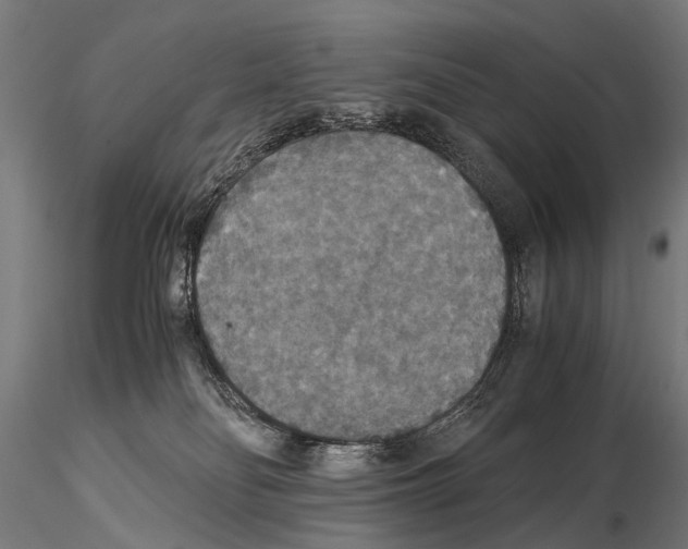 X0000115120134200912081353