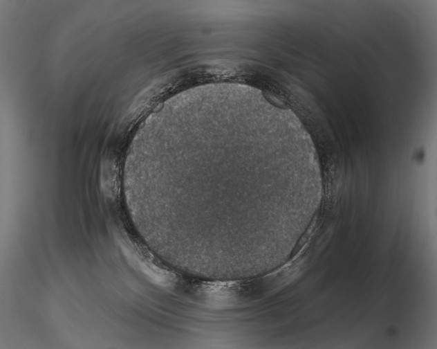 X0000115120136200912081353