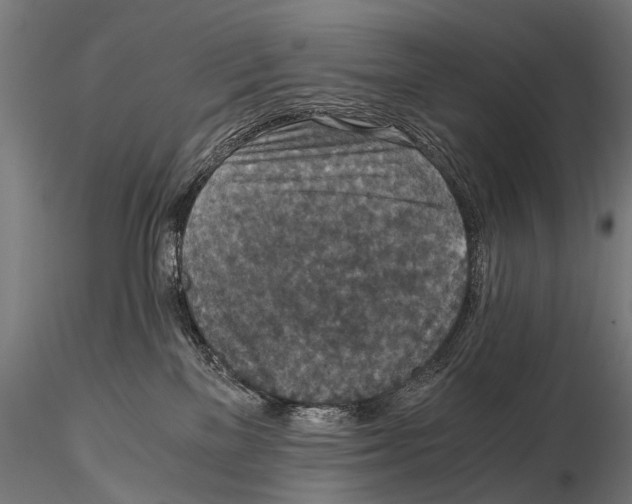 X0000115120137200912081353