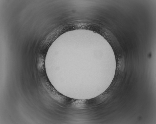 X0000115120138200912081353