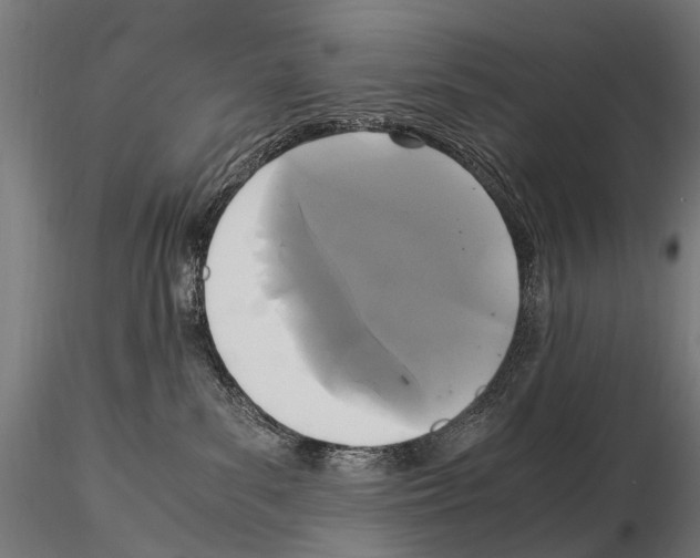 X0000115120139200912081353