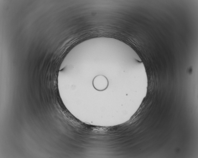 X0000115120140200912081353