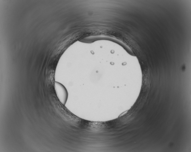 X0000115120141200912081353