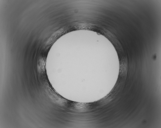 X0000115120142200912081353