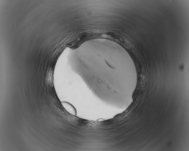 X0000115120143200912081353