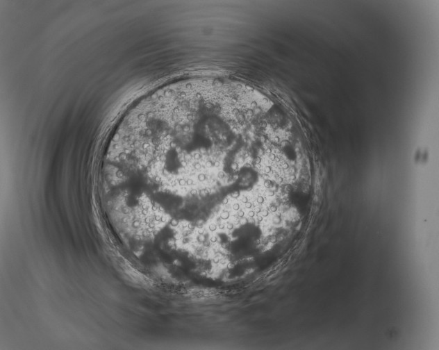 X0000115120145200912081352