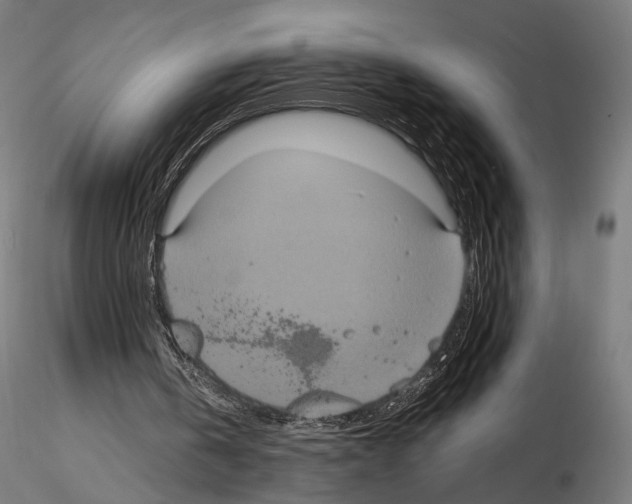 X0000115120146200912081352