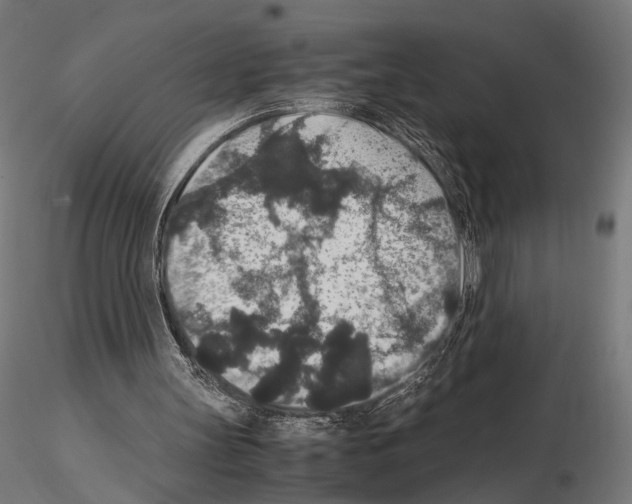 X0000115120147200912081352