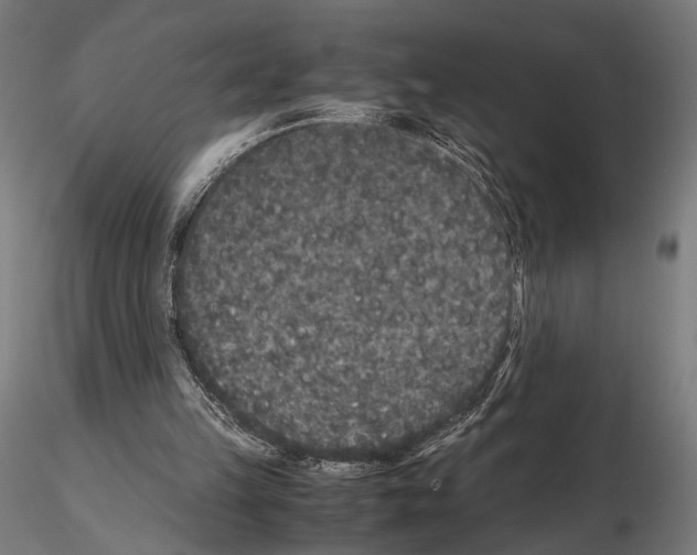 X0000115120149200912081352