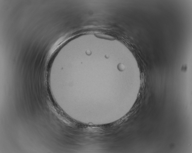 X0000115120150200912081352