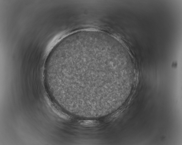 X0000115120151200912081352