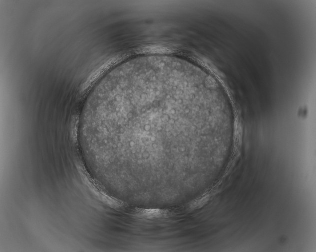 X0000115120153200912081352