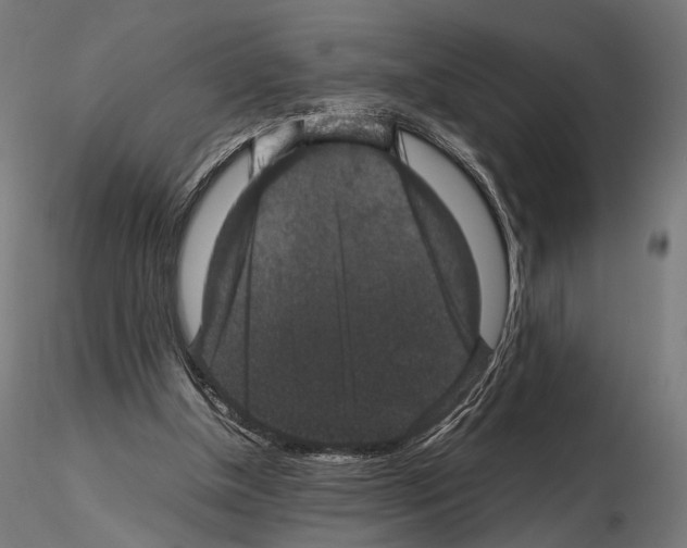 X0000115120154200912081352