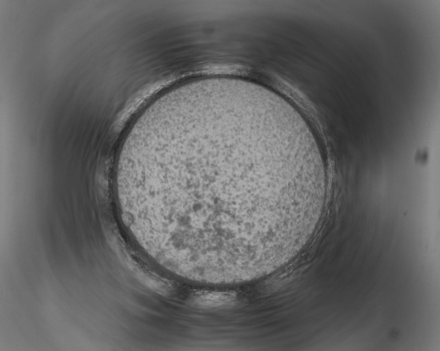 X0000115120155200912081352