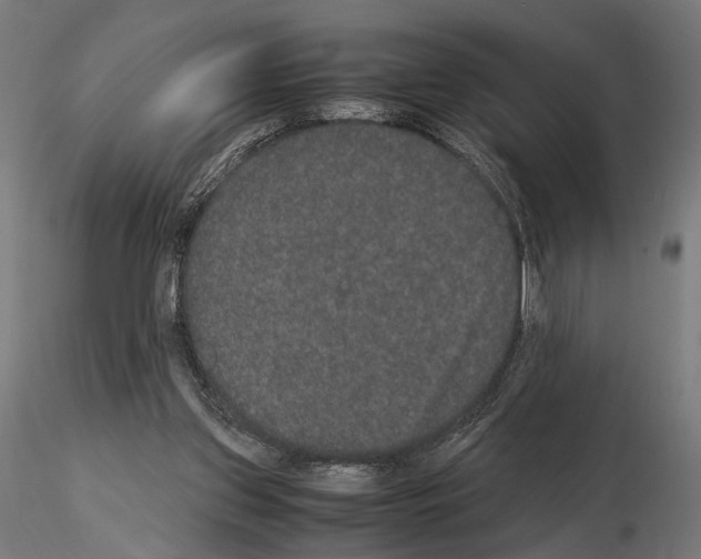 X0000115120157200912081352