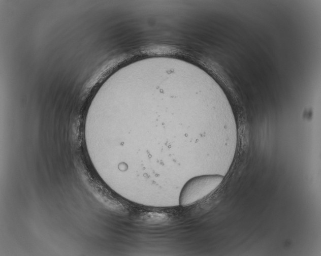 X0000115120159200912081352