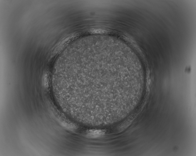 X0000115120161200912081352