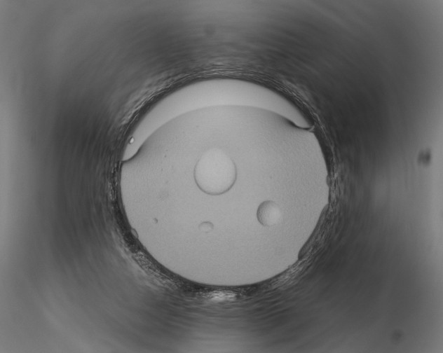 X0000115120162200912081352