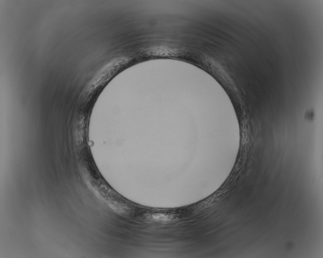 X0000115120163200912081352