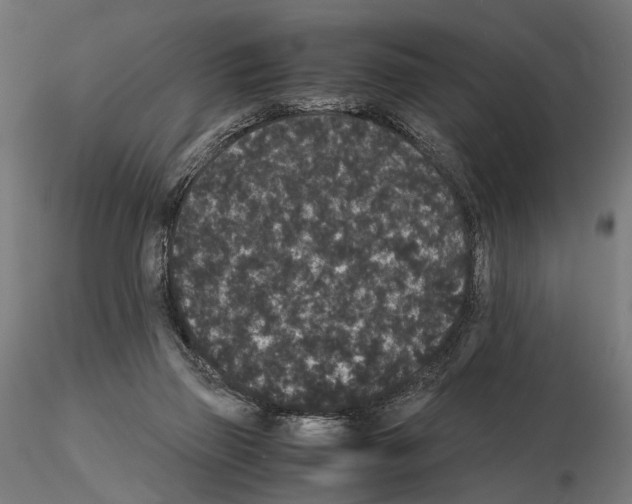 X0000115120165200912081352