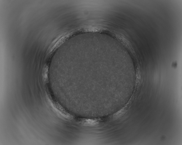 X0000115120166200912081352