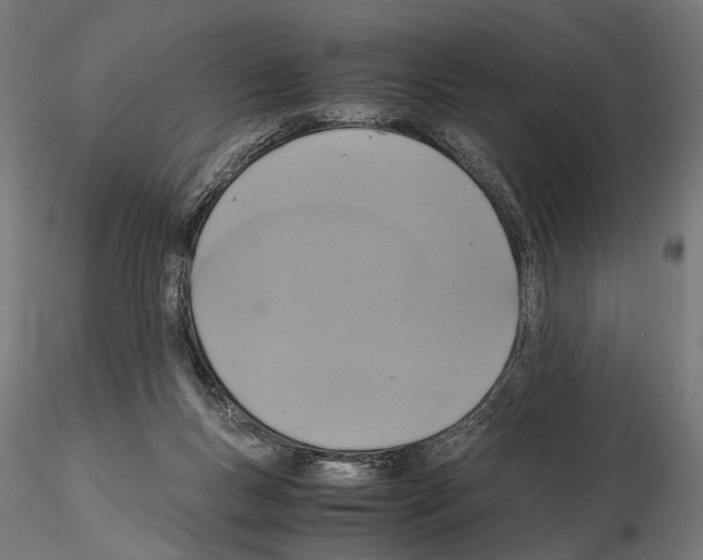 X0000115120167200912081352