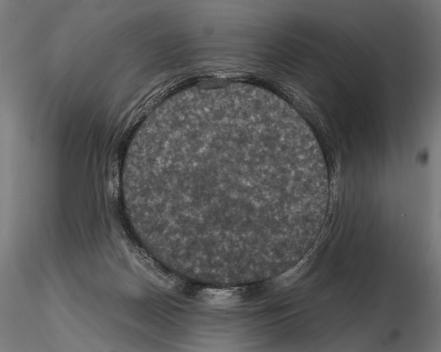 X0000115120170200912081352